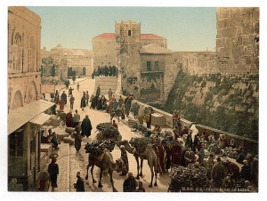 Palestine - 120 Years Ago